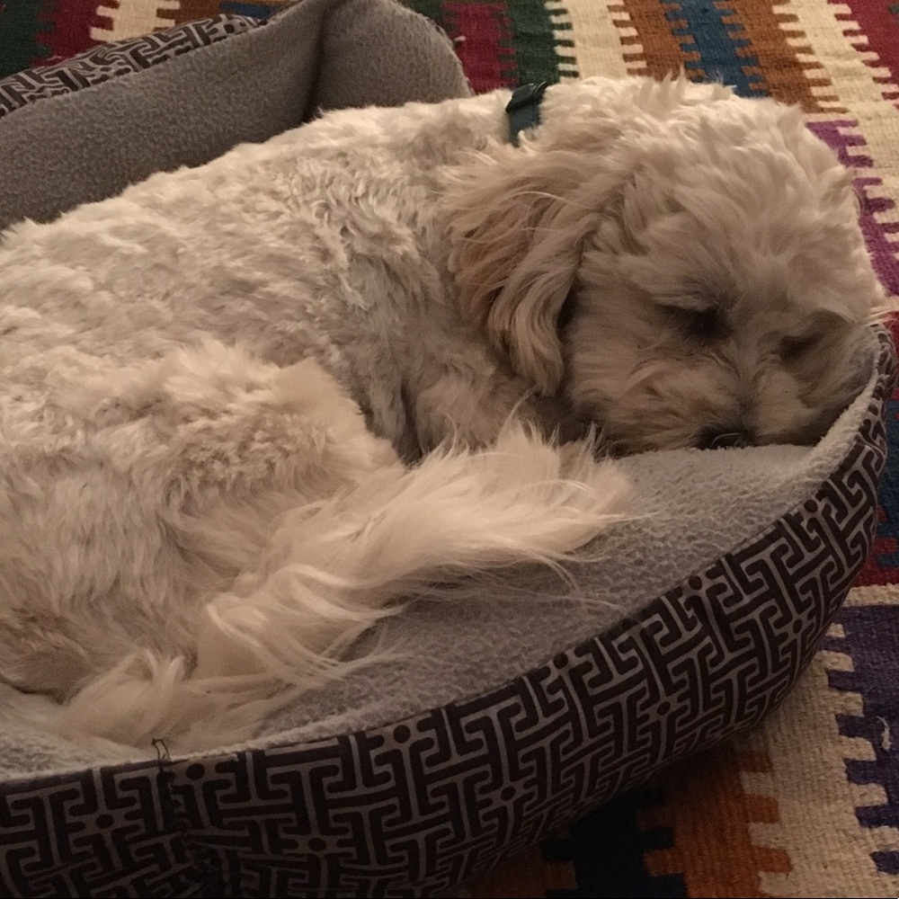 Meet your Posher, Jean